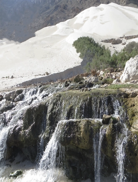 Trip to the Socotra Island  package Couple