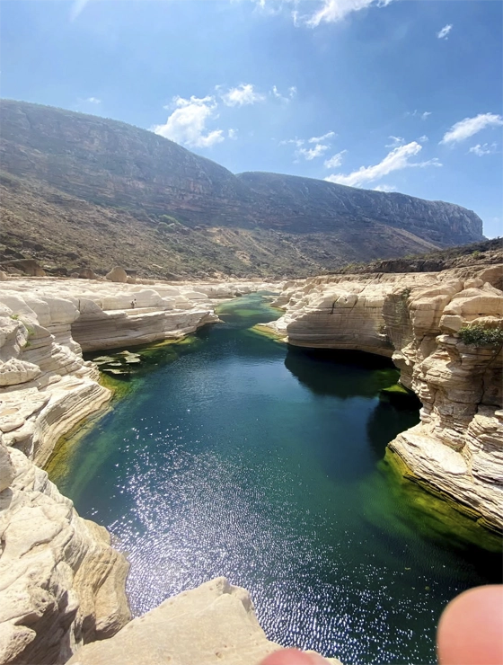 Socotra Island Tour - Yemeni (3-Persons)