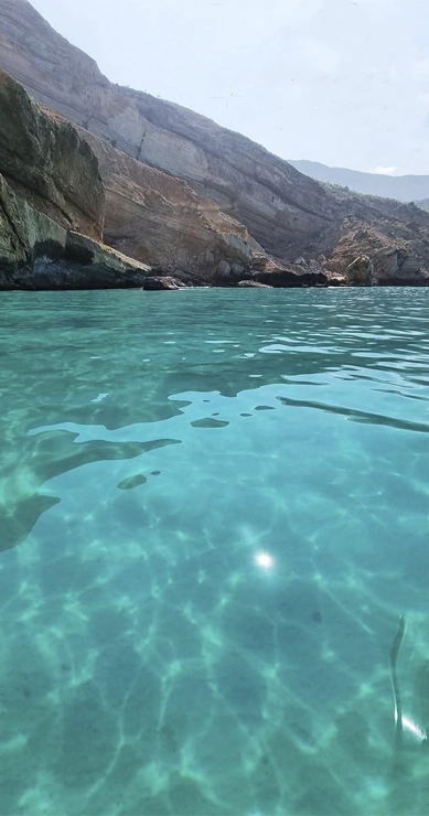 Socotra Island Tour - Yemeni Package (11-Persons)