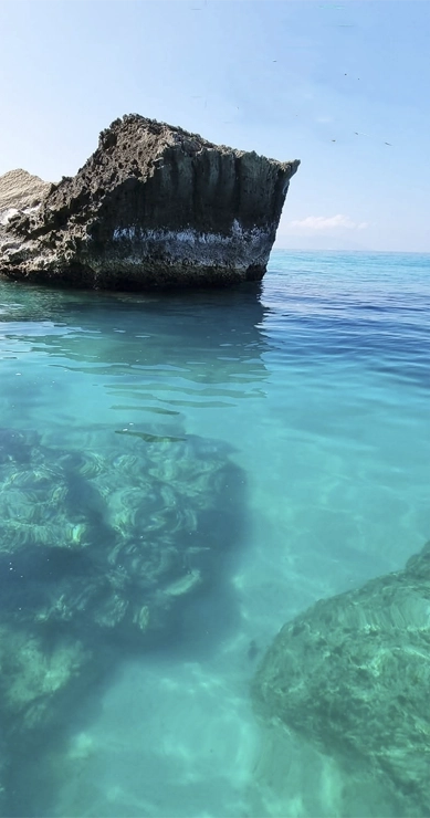 Trip to the Socotra Island Package Medium Group(For foreigners)